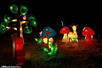 匠心點亮夜色 淄博錚暉文化，山東彩燈制造的璀璨名片